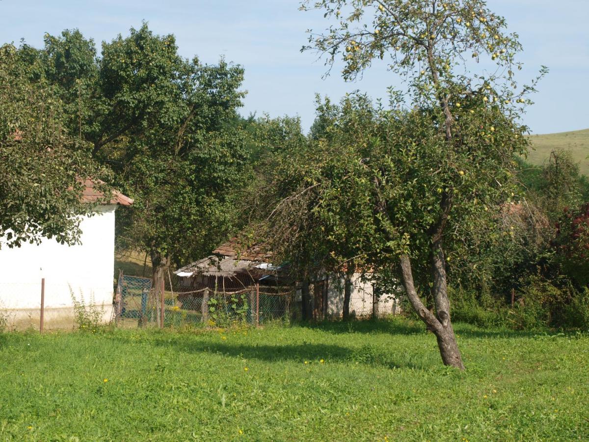 Rozsa Haz Villa Csernely Екстериор снимка